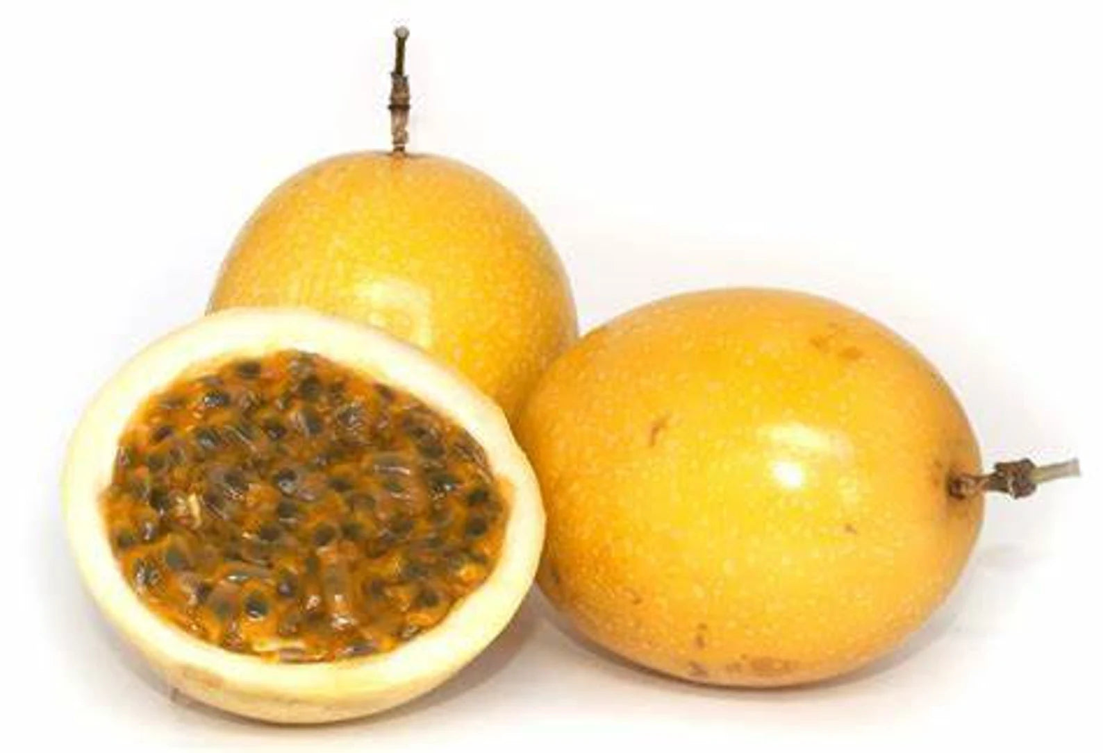 Yellow Passion Fruit Yellow Granadilla (P. Laurifolia) - Healthy Harvesters