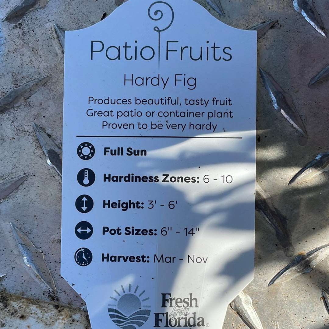 Patio Fruits 1 Lovehopegrow