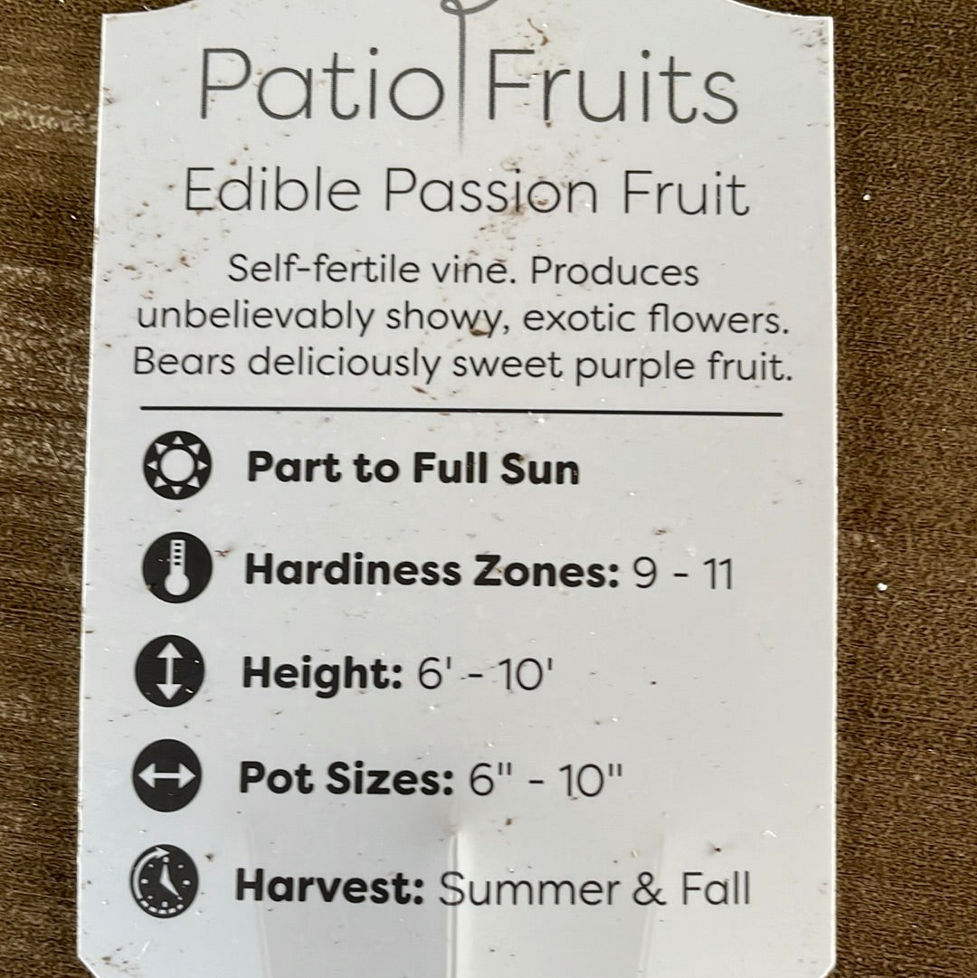 Patio Fruits 1 Lovehopegrow