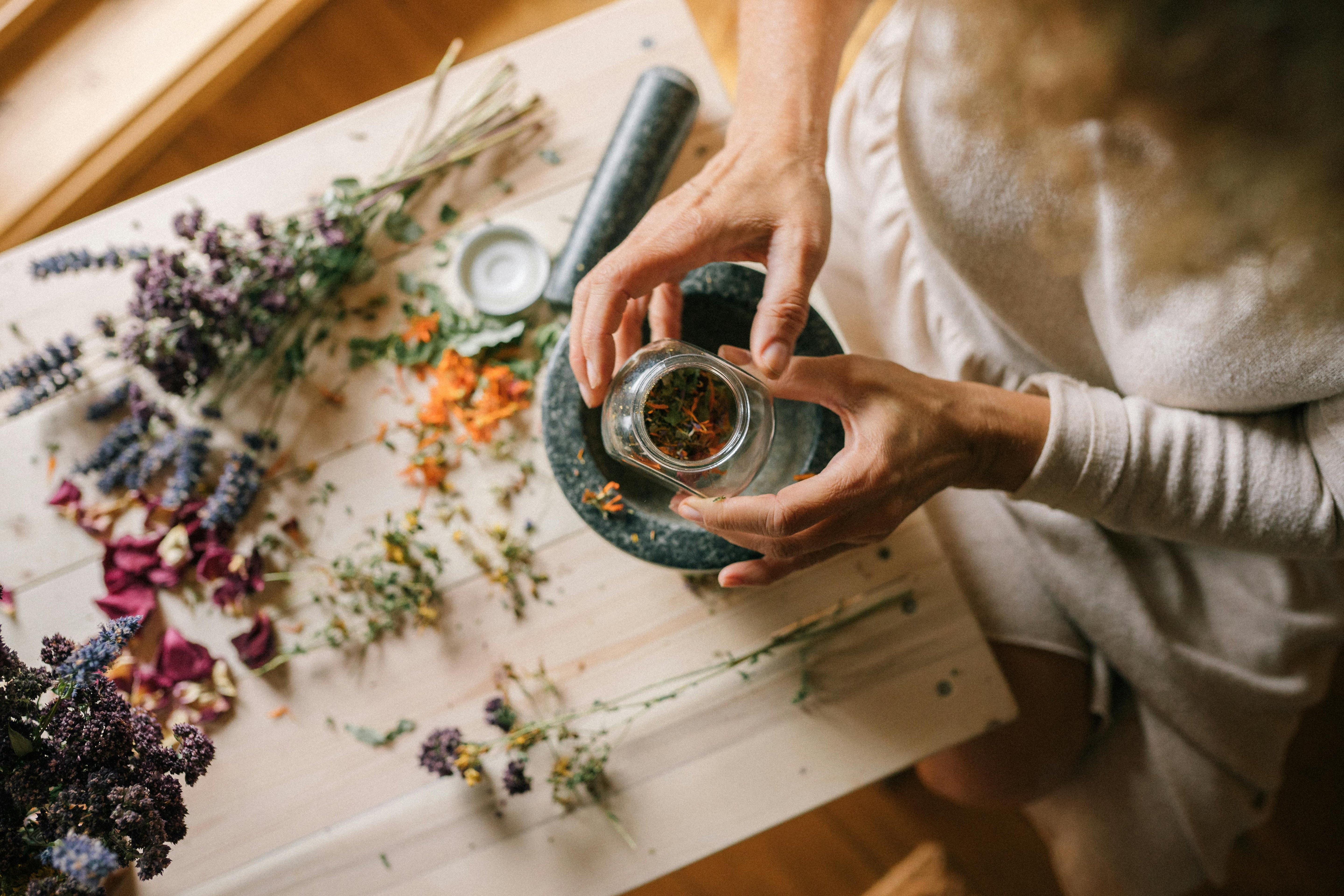 Exploring the Healing Power of Medicinal Plants: Types and Benefits