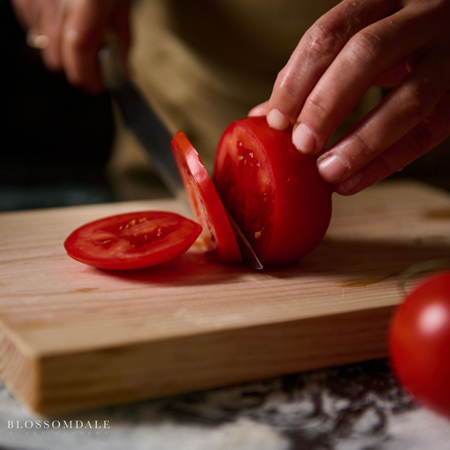 Better Boy Plus Tomato Seeds - disease-resistant tomatoes