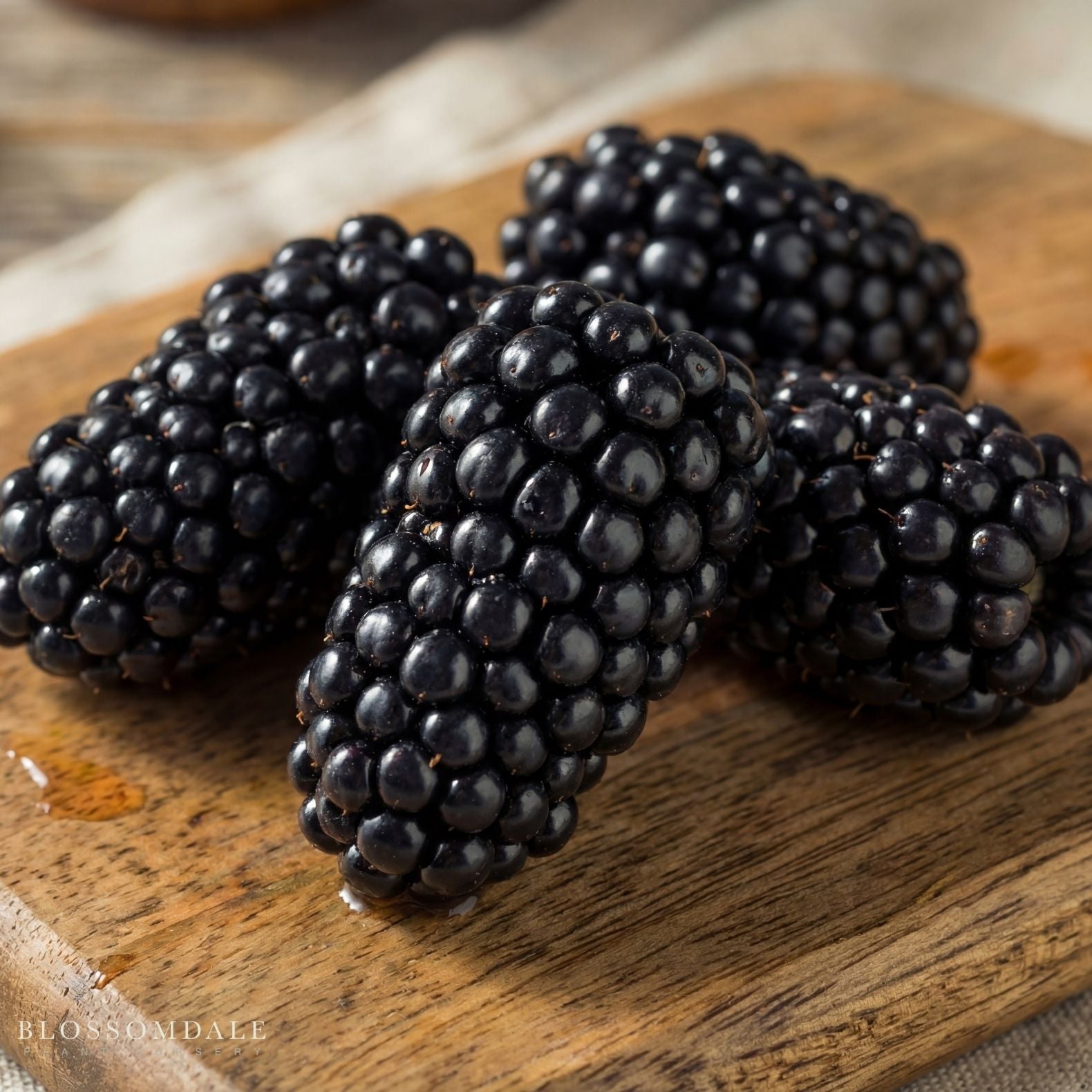 Big Daddy™ Blackberry