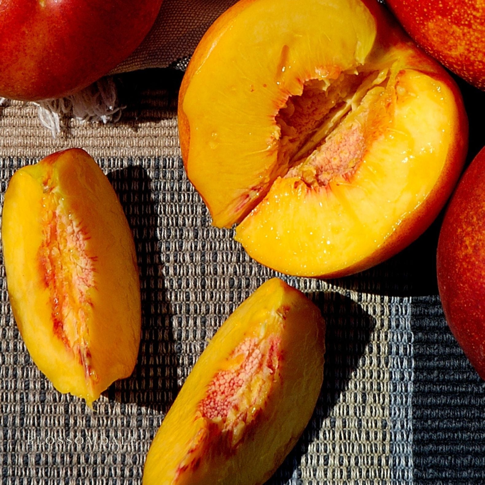 Semi Dwarf Harko Nectarine Tree