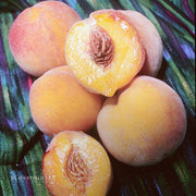 Semi Dwarf Reliance Peach Tree
