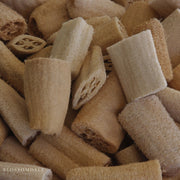 Luffa Sponge Gourd Seeds
