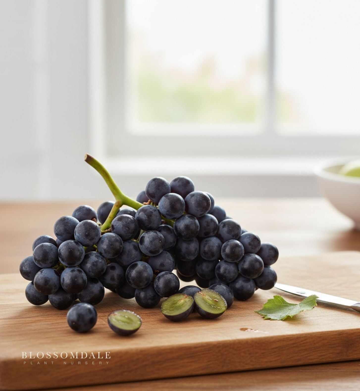 Blueberry Table Grape Vine