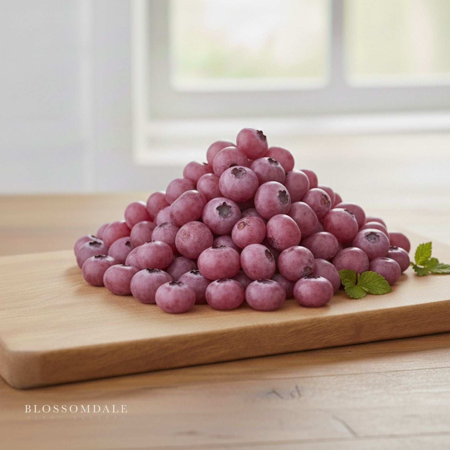 Pink Lemonade Blueberry Shrub