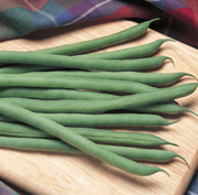 'Kentucky Blue' Pole Bean Seeds