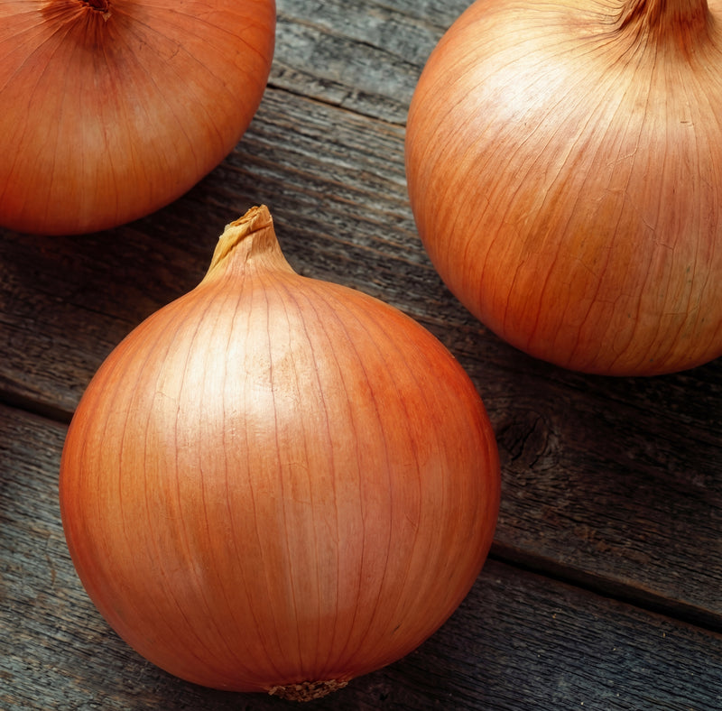 Candy Onion Seeds