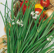 Garlic Chive Seeds