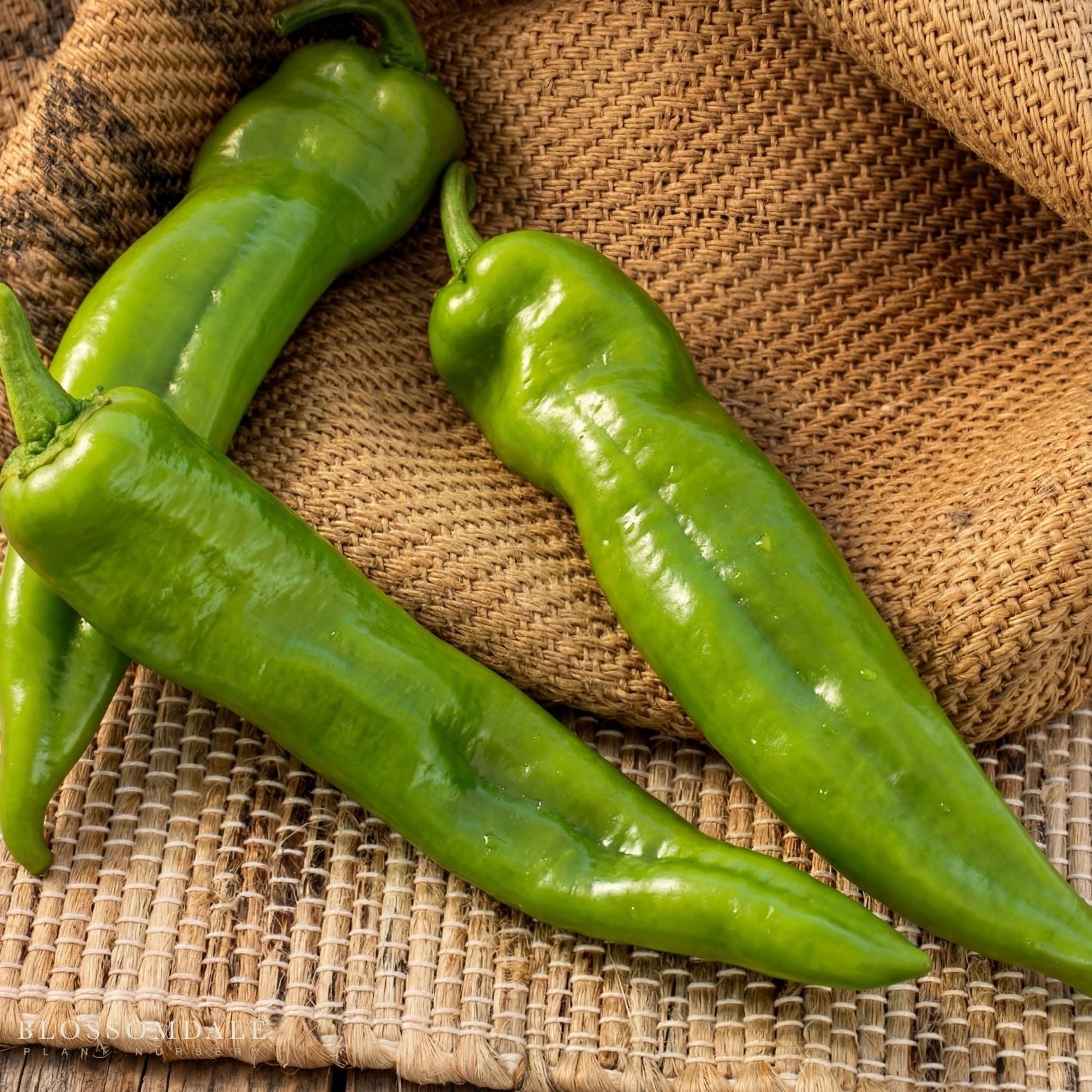 Desperado Pepper Seeds