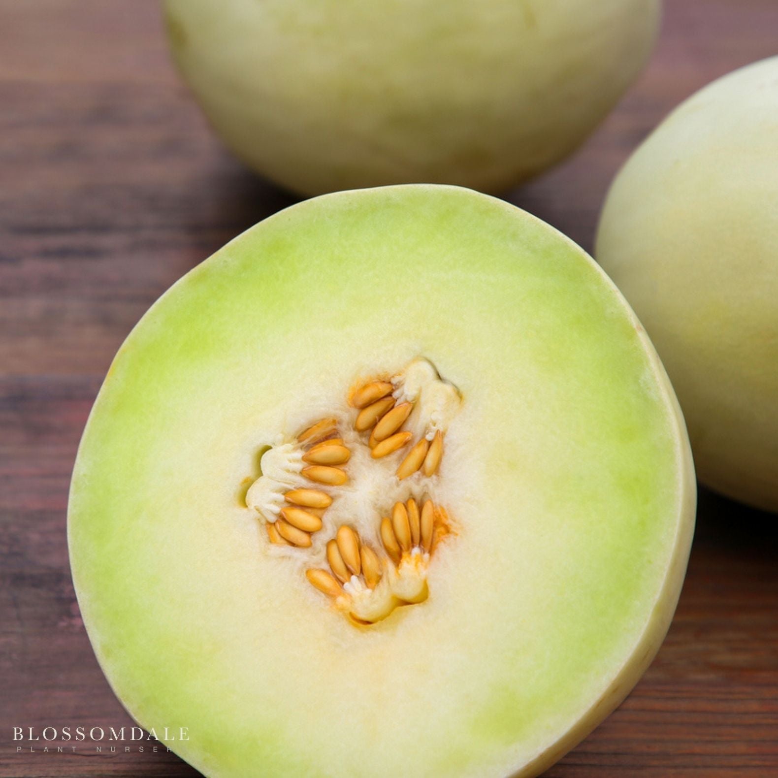 Honeydew Earli-Dew Melon seeds