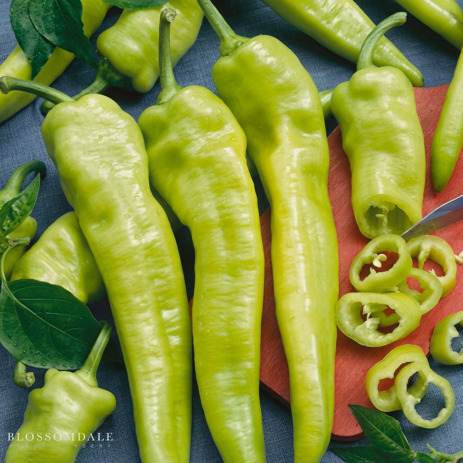 Hungarian Hot Pepper Seeds