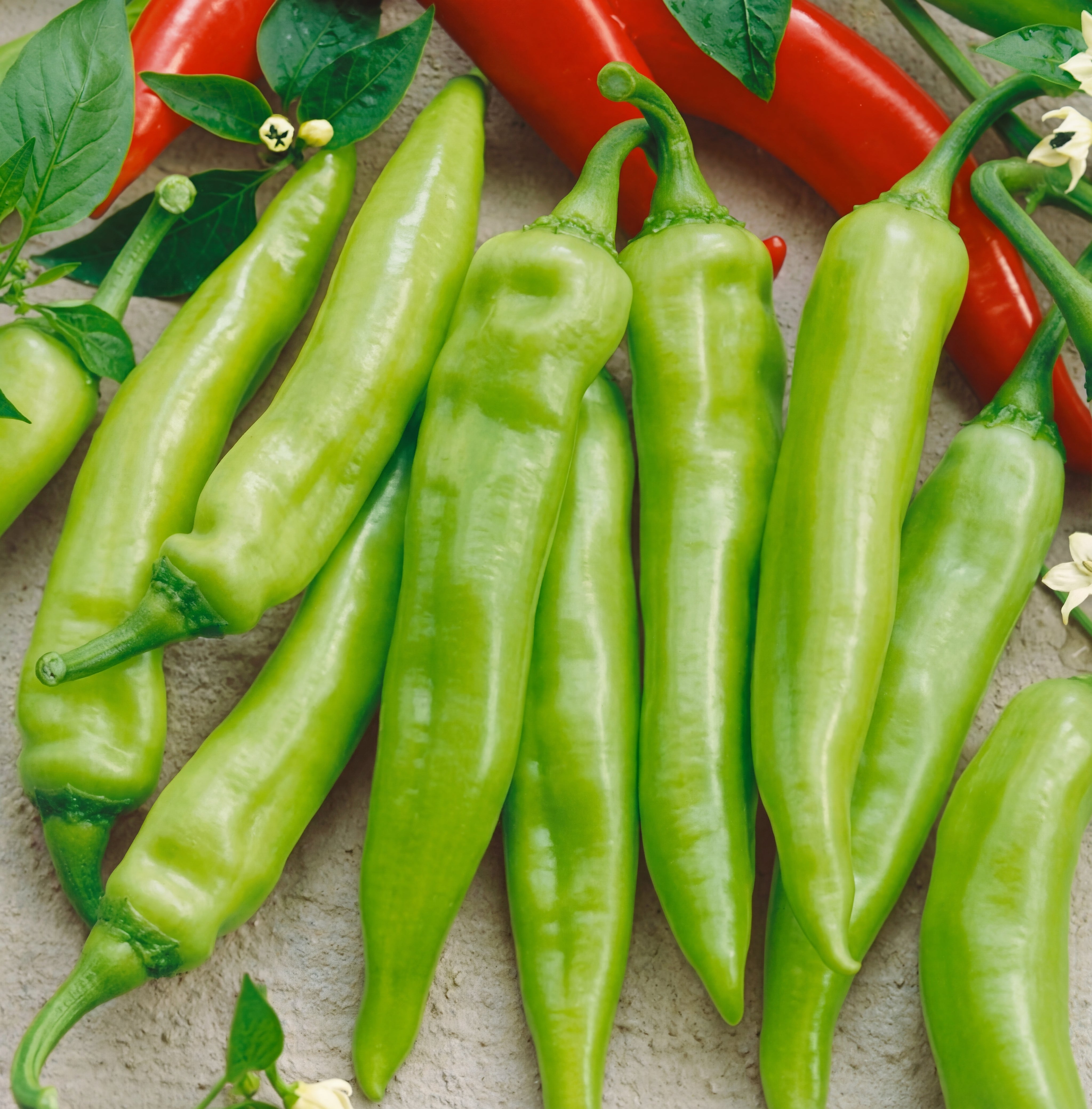 Hungarian Sweet Pepper Seeds