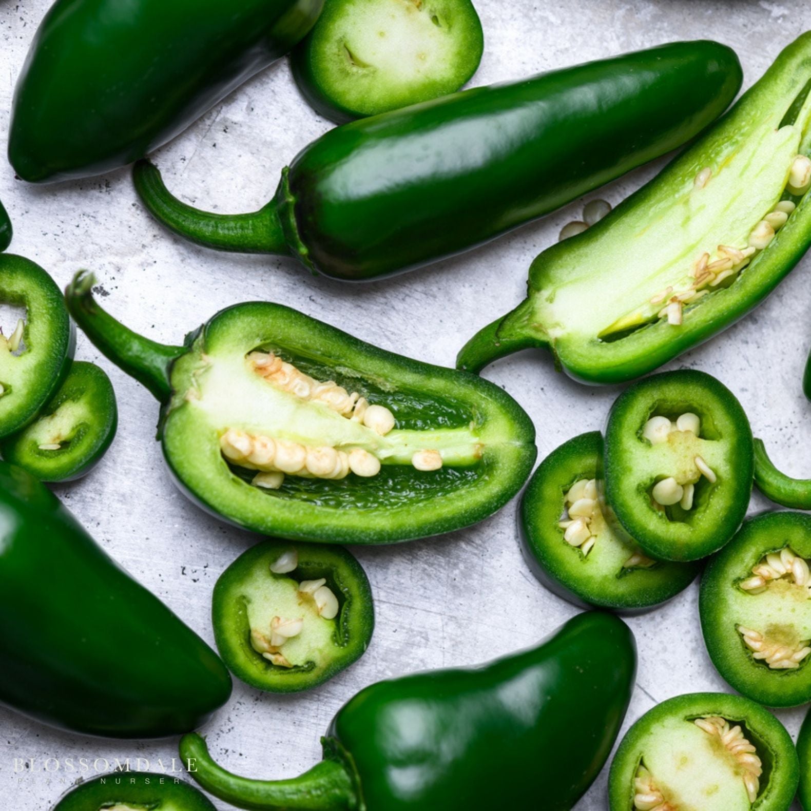 Jalapeno Pepper Seeds