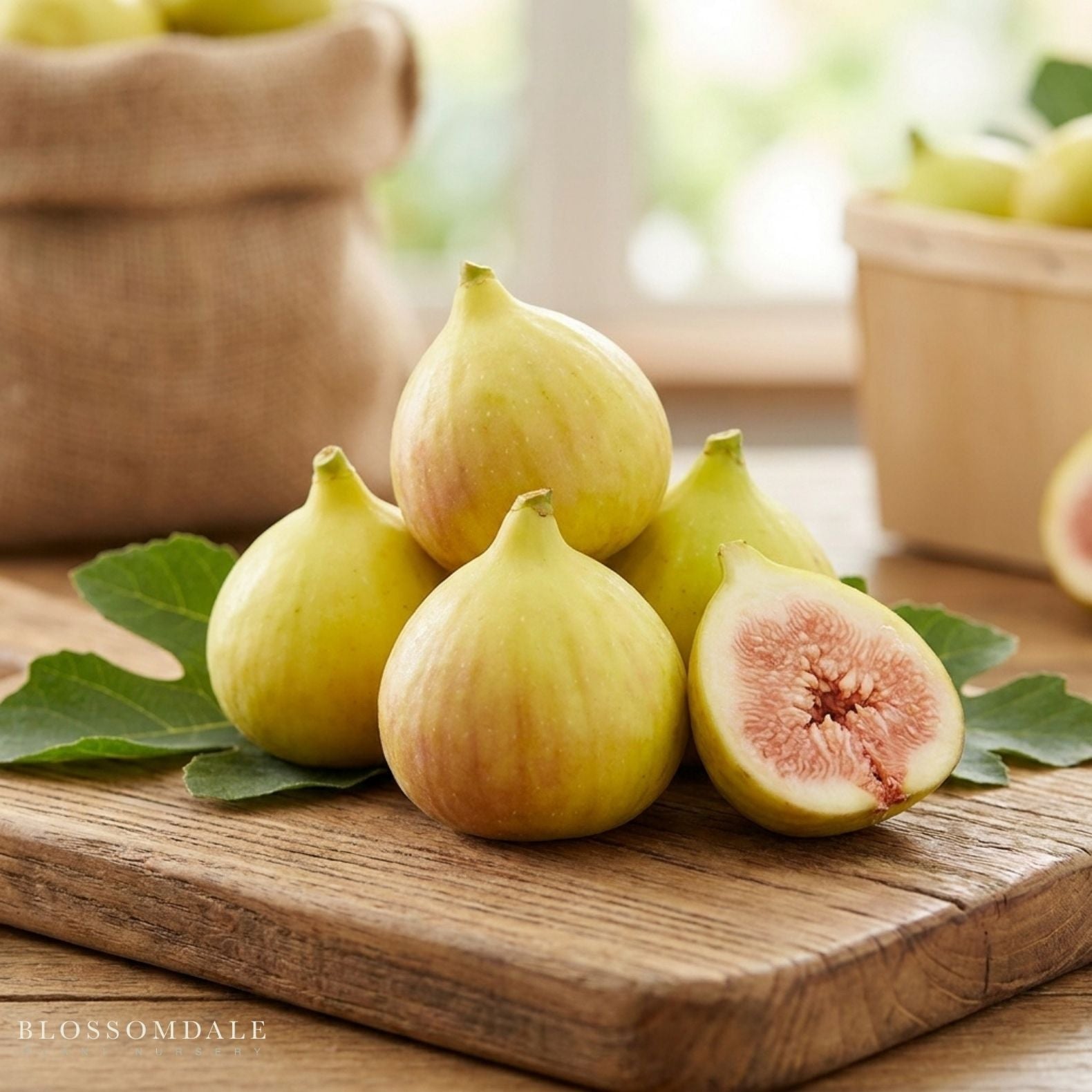 Kadota Fig