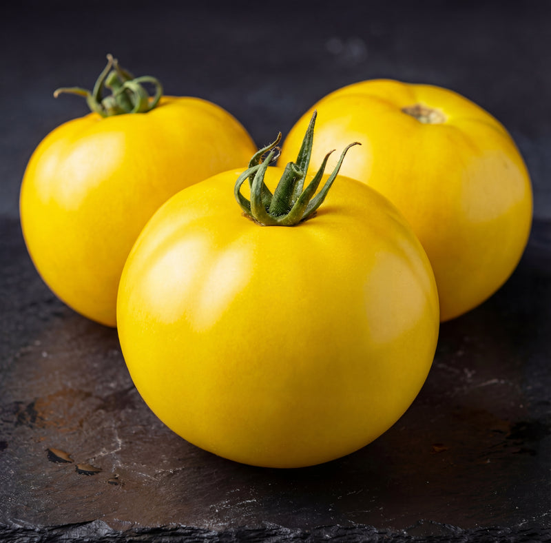 Lemon Boy Tomato Seeds