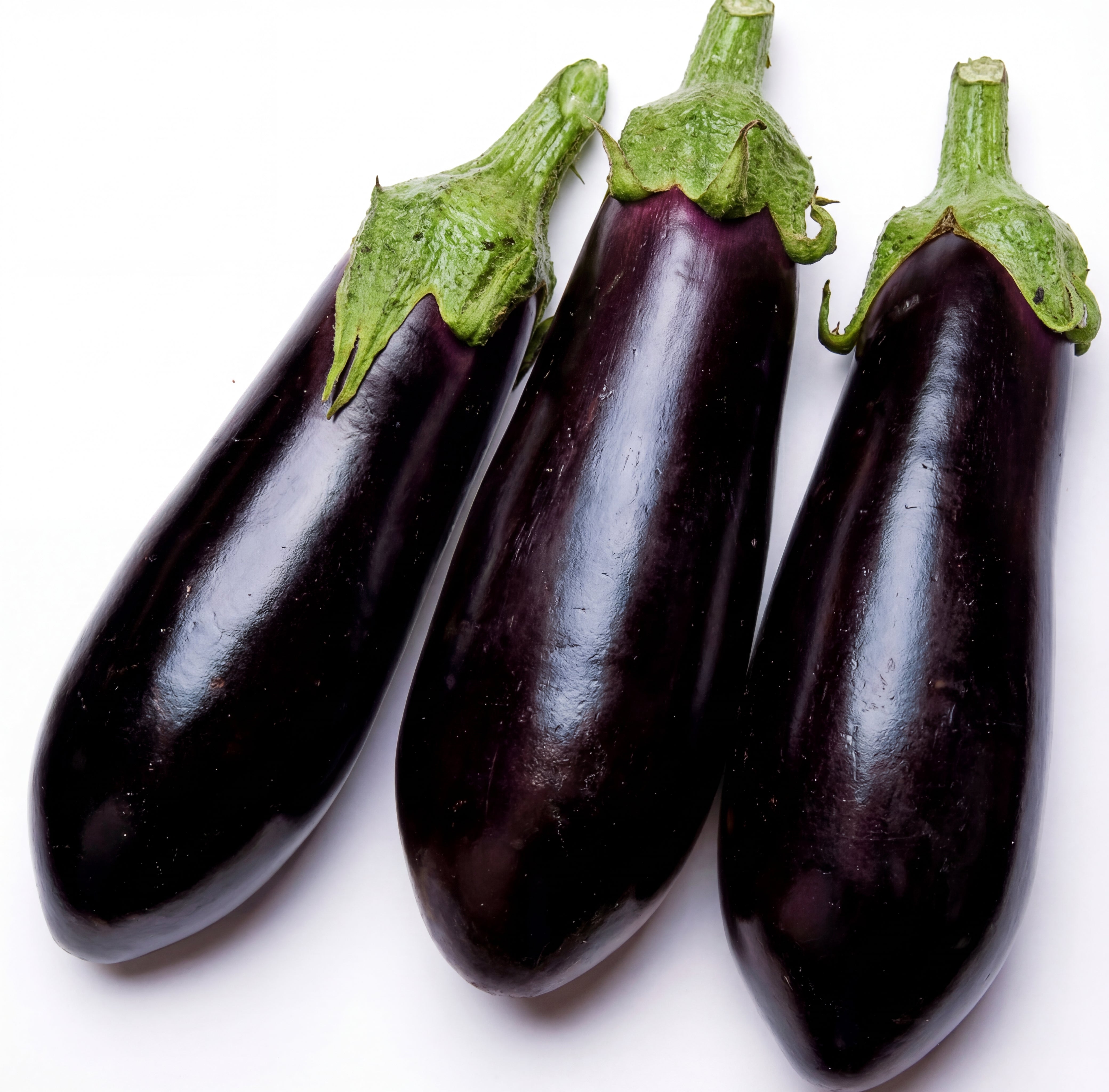 Millionaire Eggplant Seeds