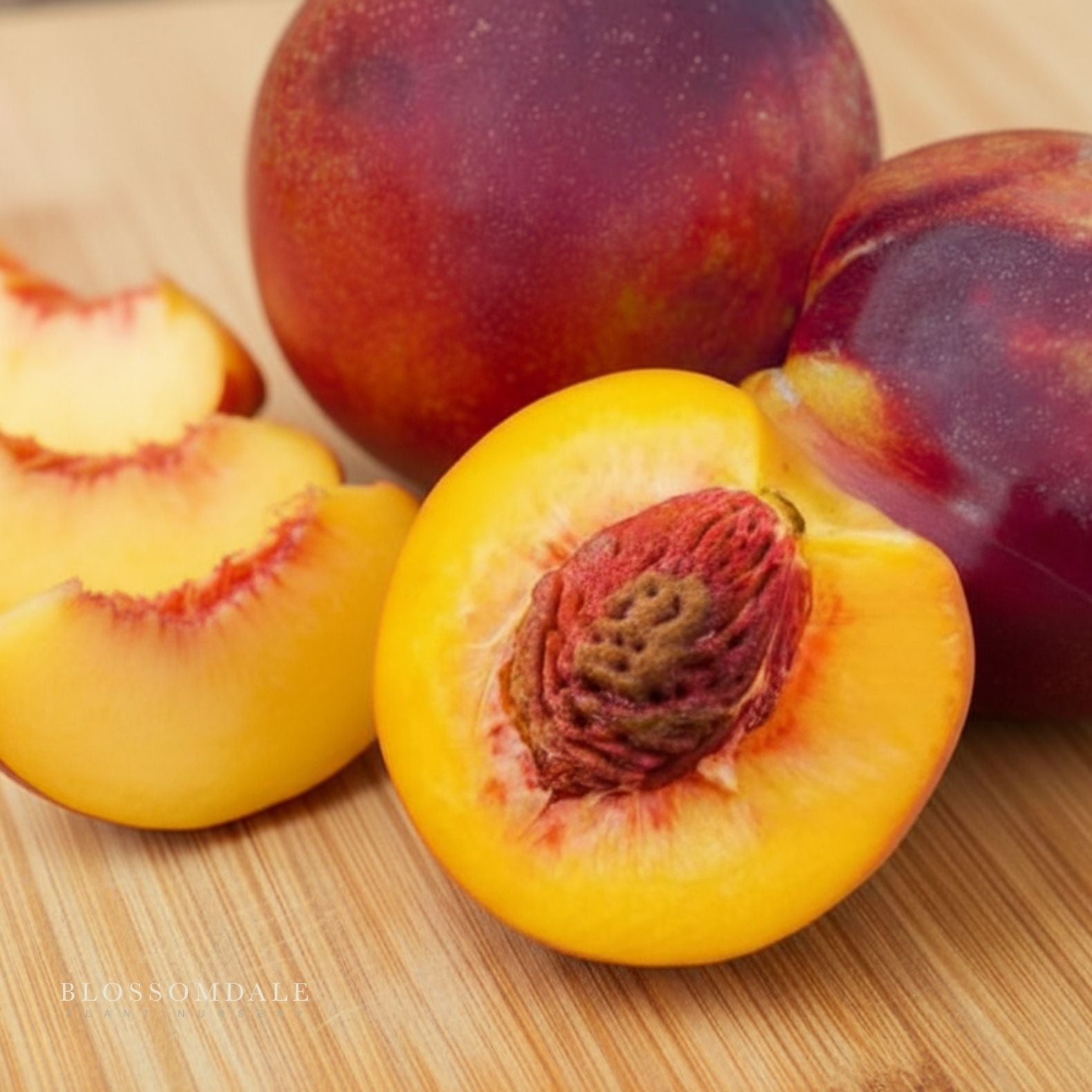 2-In-1 Nectarine Peach Tree | Miniature Fruit | Blossomdale