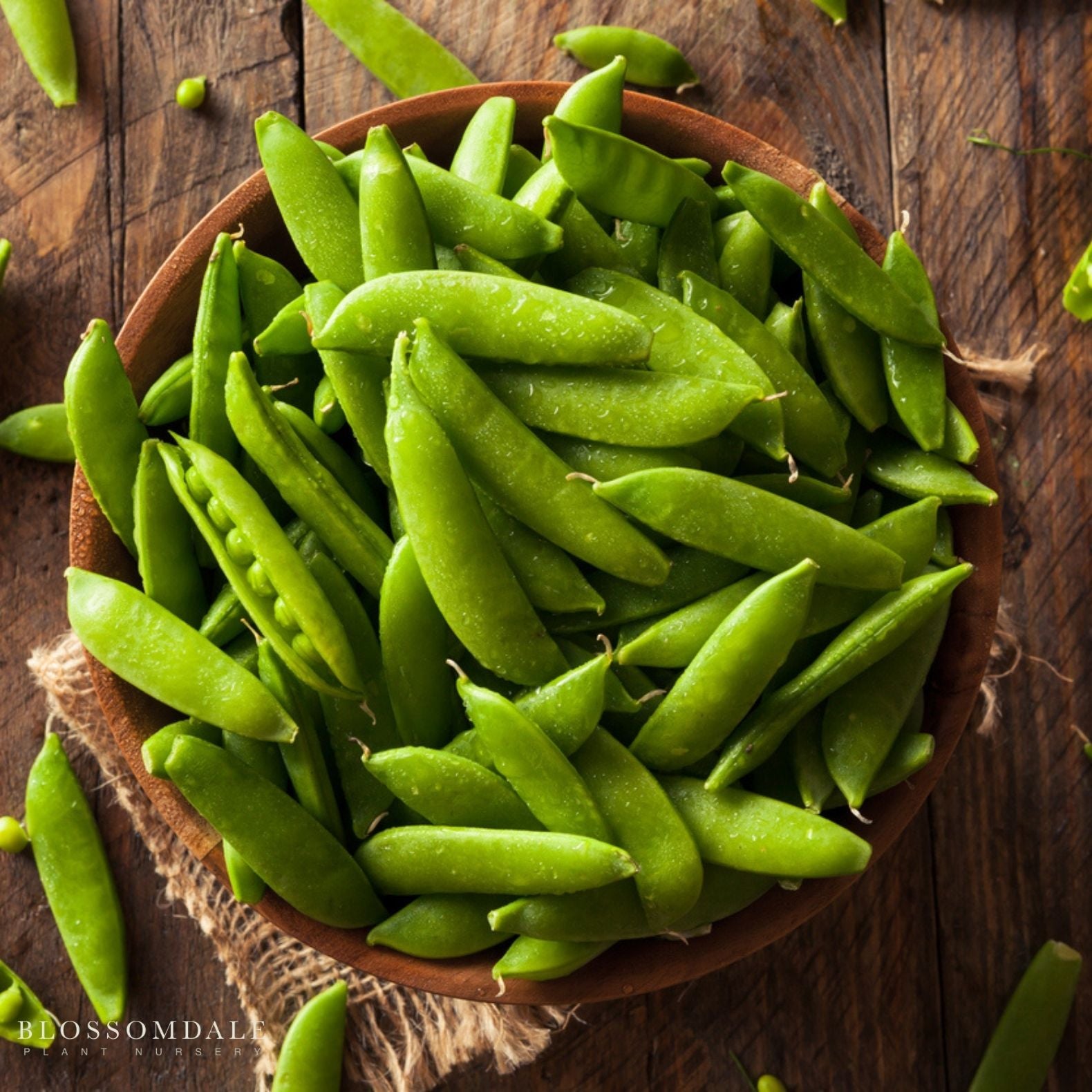 Sugar Sprint Snap Pea Seeds