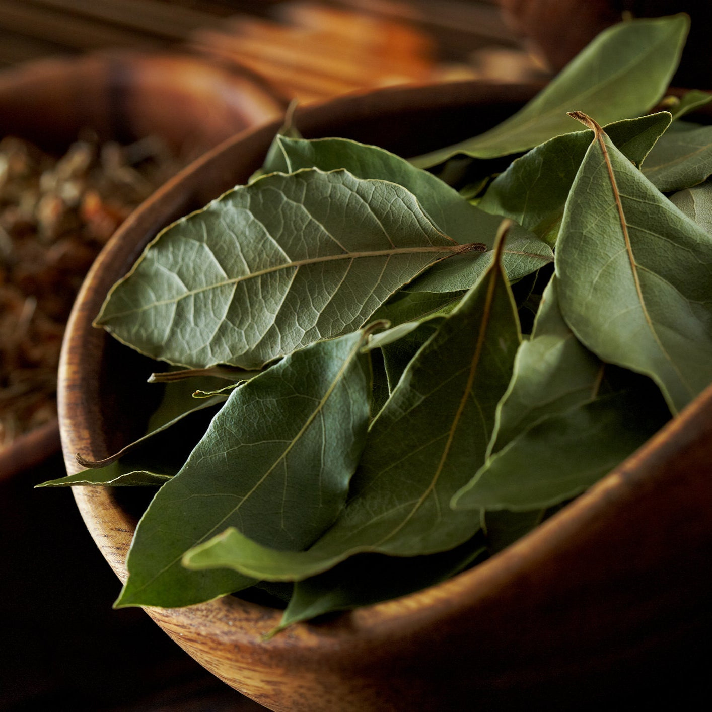 Bay Leaf Laurus nobilis