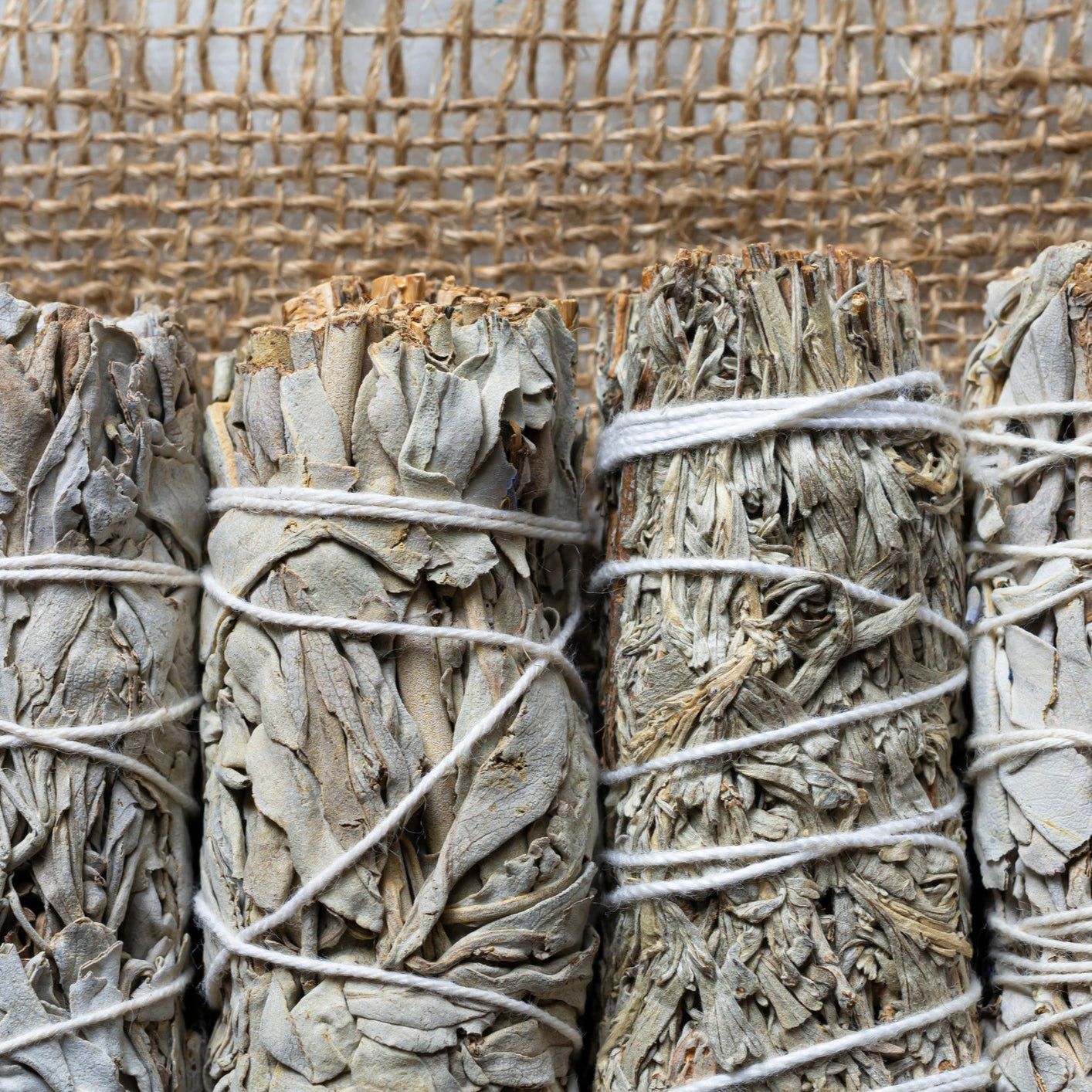 White Sage
